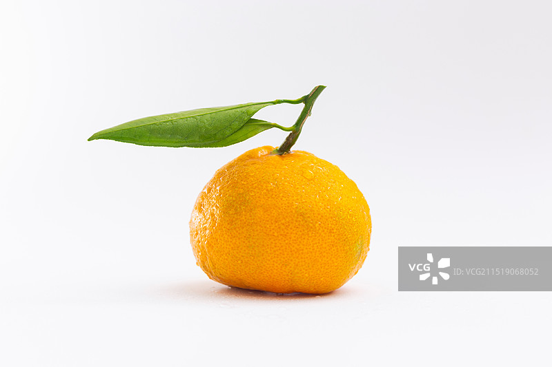 江西南丰蜜桔，南丰橘图片素材