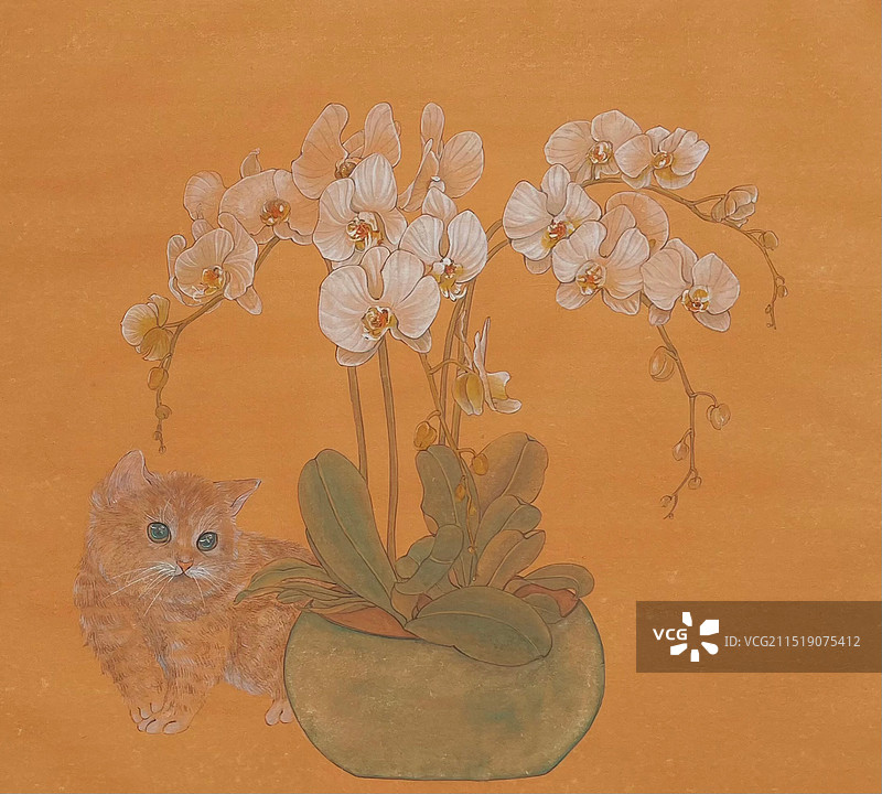 《蝶猫解语》图片素材