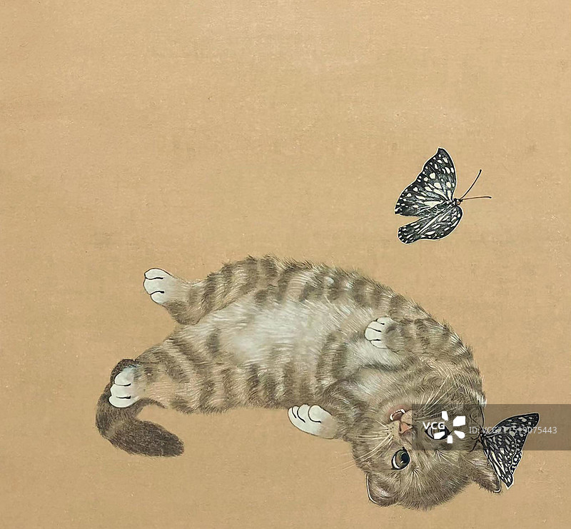 《蝴蝶戏猫》图片素材