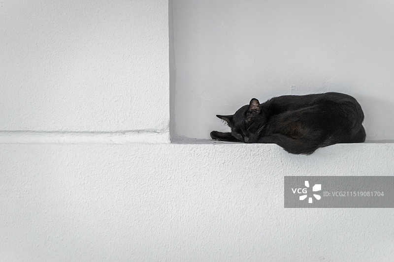 一只黑猫在白墙上睡觉极简几何图片素材