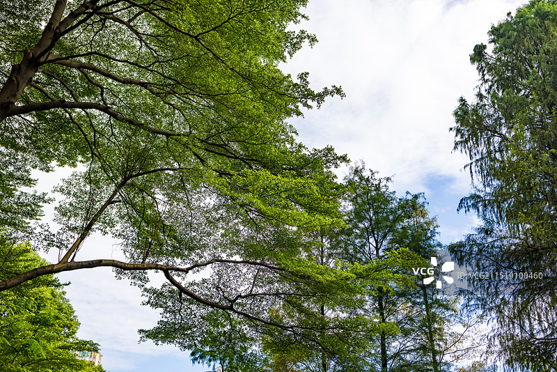 广州东湖公园一角图片素材