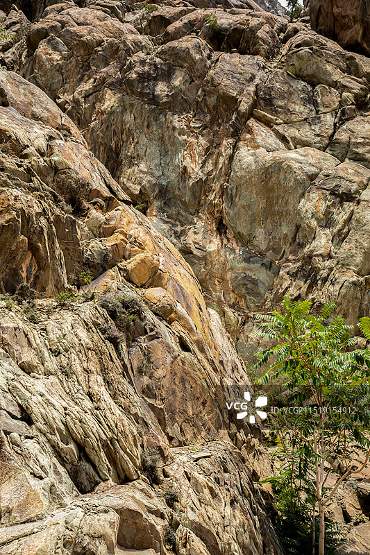 宁夏回族自治区银川市贺兰山岩画AAAA级旅游景区图片素材