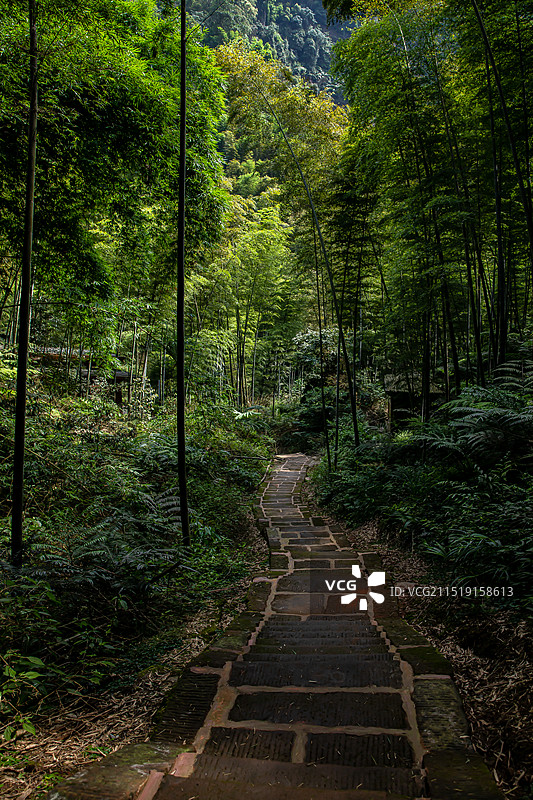 四川省宜宾市长宁县蜀南竹海图片素材