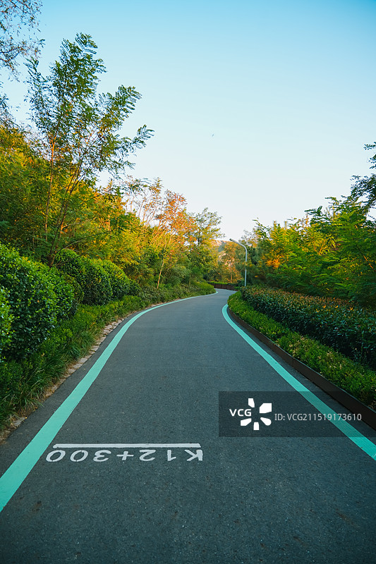 青岛绿道 山东省青岛市浮山森林公园图片素材