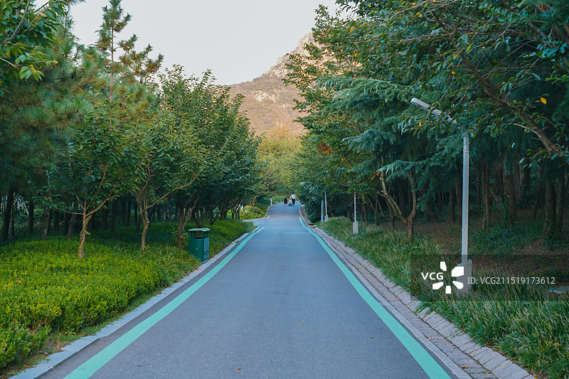 青岛绿道 山东省青岛市浮山森林公园图片素材