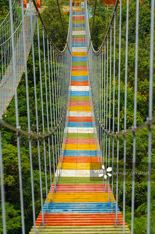 森林中的彩色悬索桥图片素材