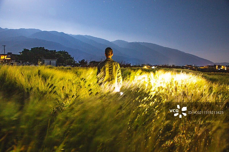 云南省大理市-夜幕下的麦田风景图片素材