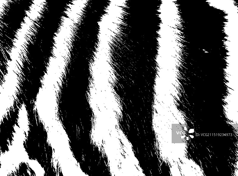 单色斑马或老虎皮毛背景图片素材