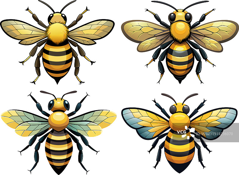 蜜蜂图片素材