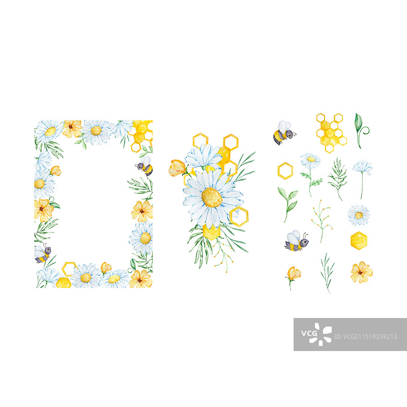 水彩花卉框架与蜜蜂蜂巢雏菊图片素材