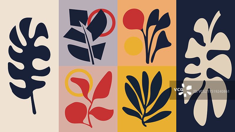 扁平风格热带树叶剪影合集图片素材