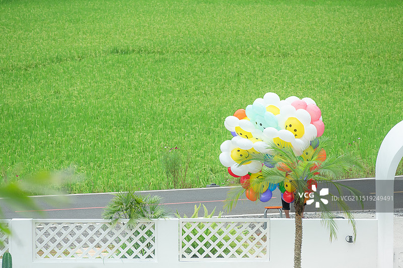 稻田边卖气球图片素材