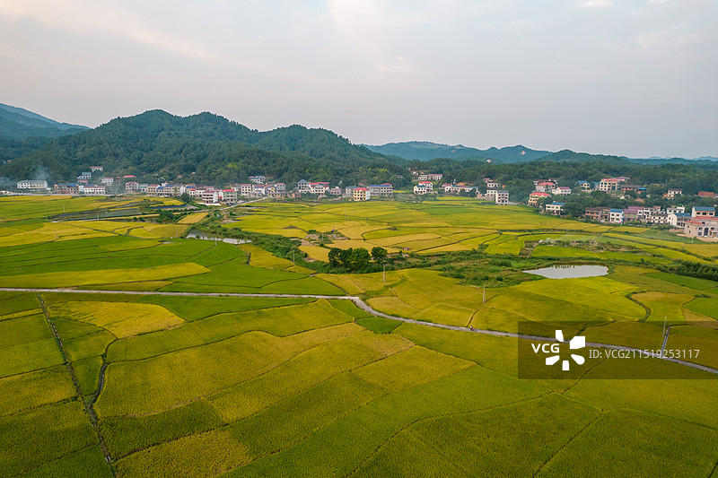 中国湖南省衡阳市南岳衡山水帘洞乡村稻田日落航拍图片素材