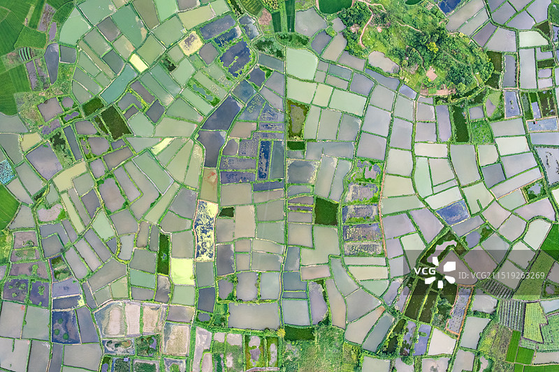 广西桂林会仙镇玻璃田图片素材