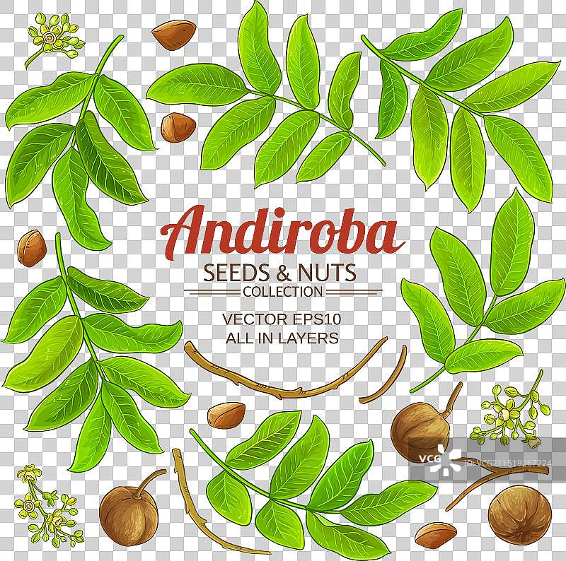 安迪罗巴元素合集图片素材