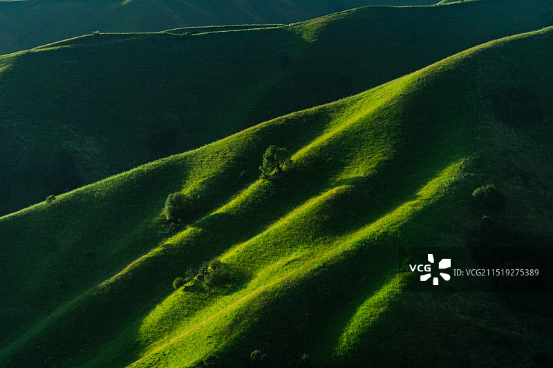 新疆伊犁新源那拉提草原图片素材