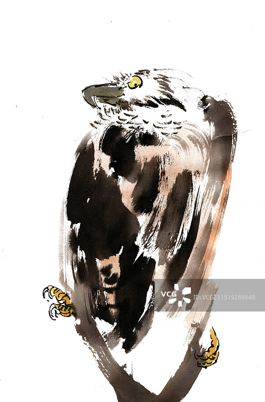 树杈上的秃鹫图片素材