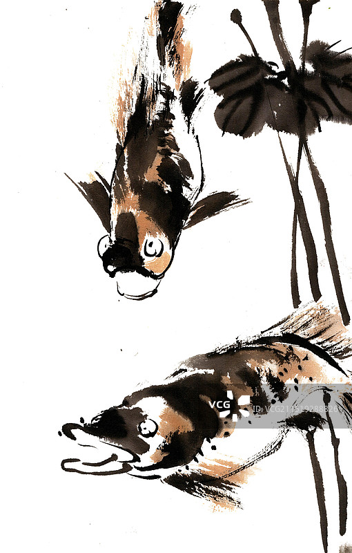 游泳的鱼图片素材