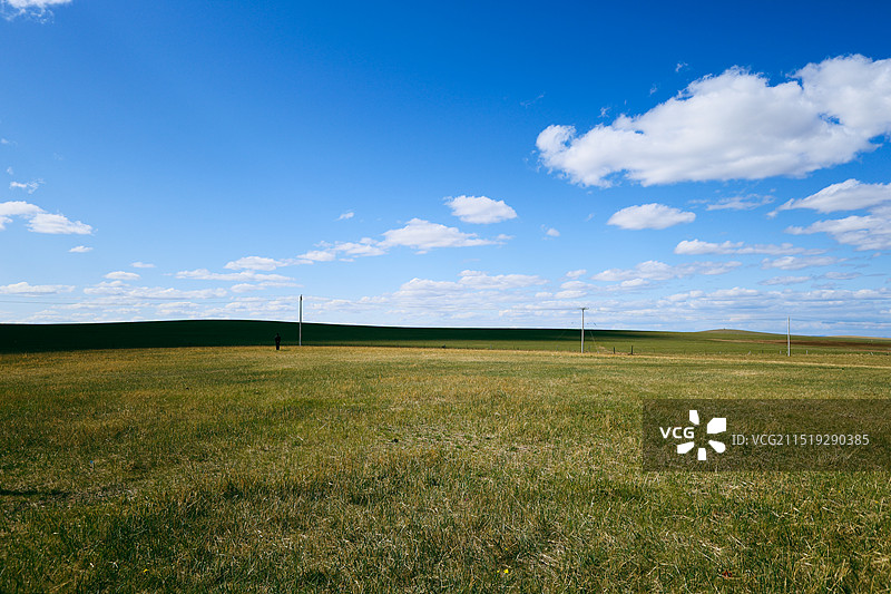 蓝天白云下呼伦贝尔大草原上的风光图片素材