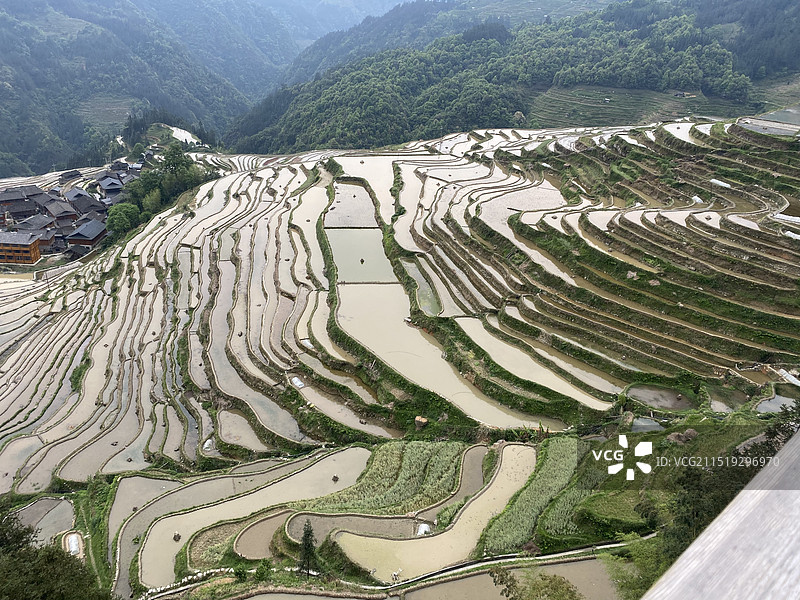 加榜梯田图片素材