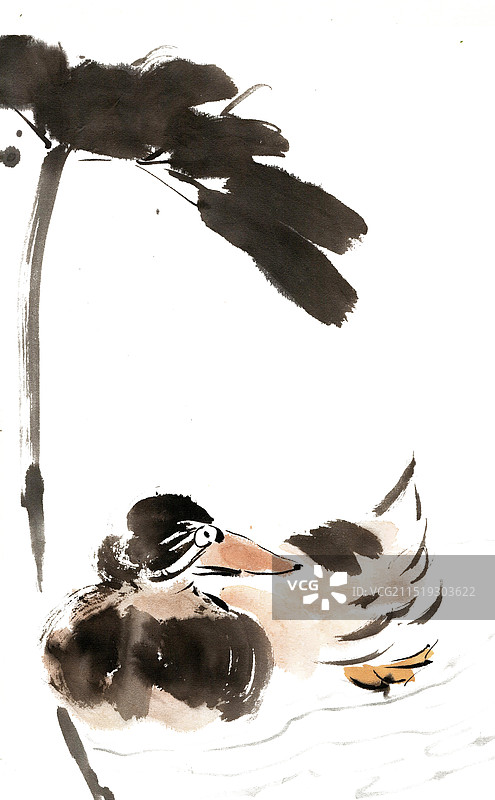 荷叶与鸭子图片素材