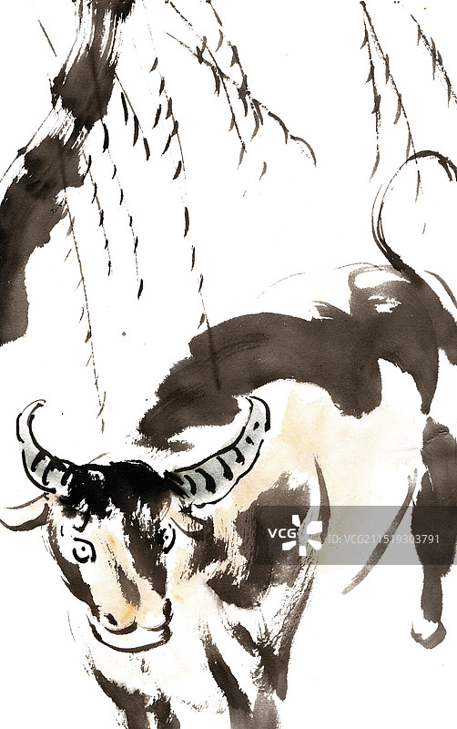 柳枝下的牛图片素材