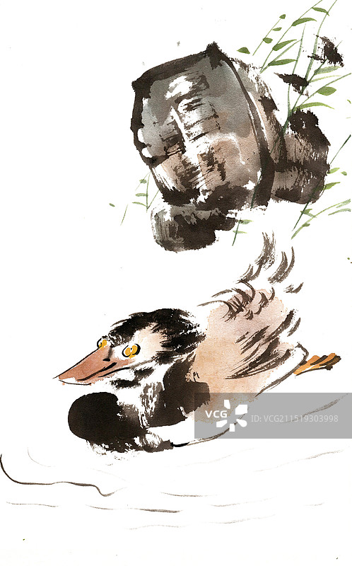石头与鸭子图片素材