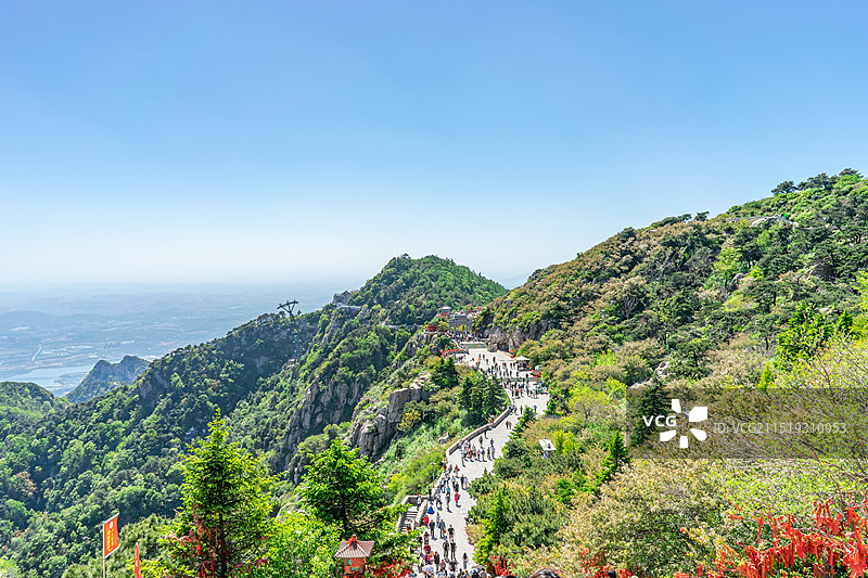 中国非都市风光拍摄主题，山东泰安国内著名景点泰山风景区，玉皇顶上的天街步行道路和盛开的海棠花野生植物图片素材