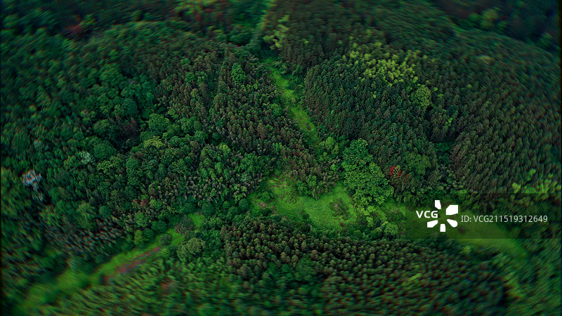 森林 福建三明市沙县图片素材