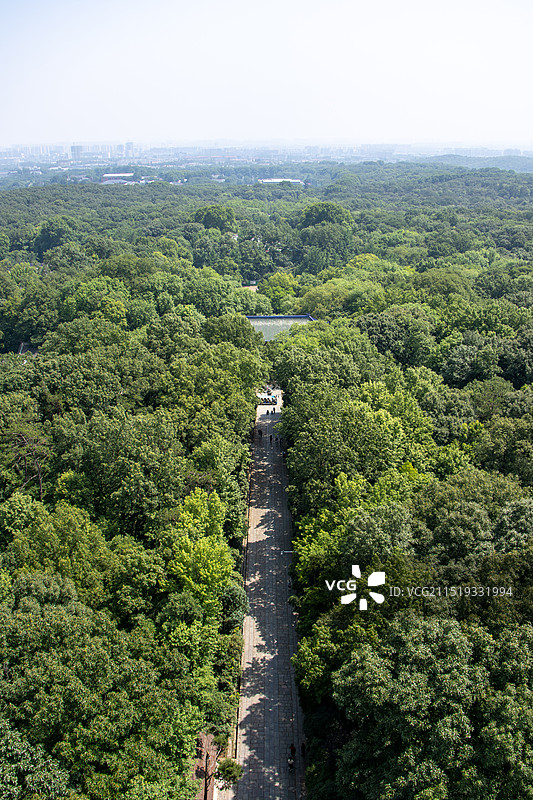 南京钟山风景区灵谷景区灵谷塔顶风光图片素材