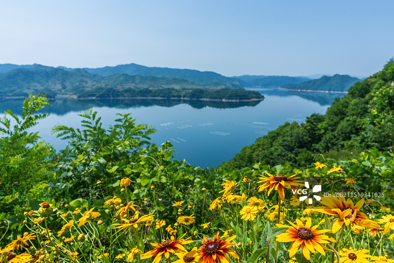 丹东宽甸绿江村小天池野花图片素材