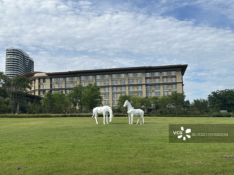 草地上的马图片素材