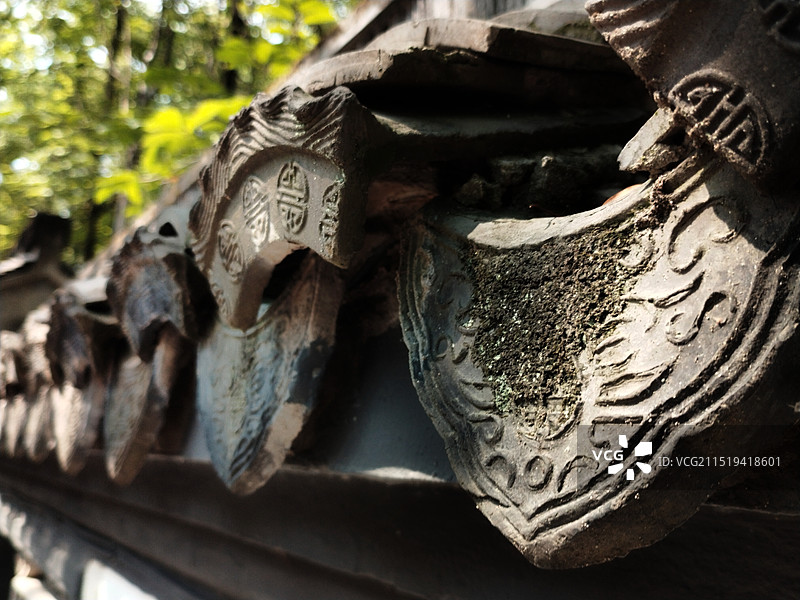 瓦当上的绿意和苔痕：（资料图）图片素材