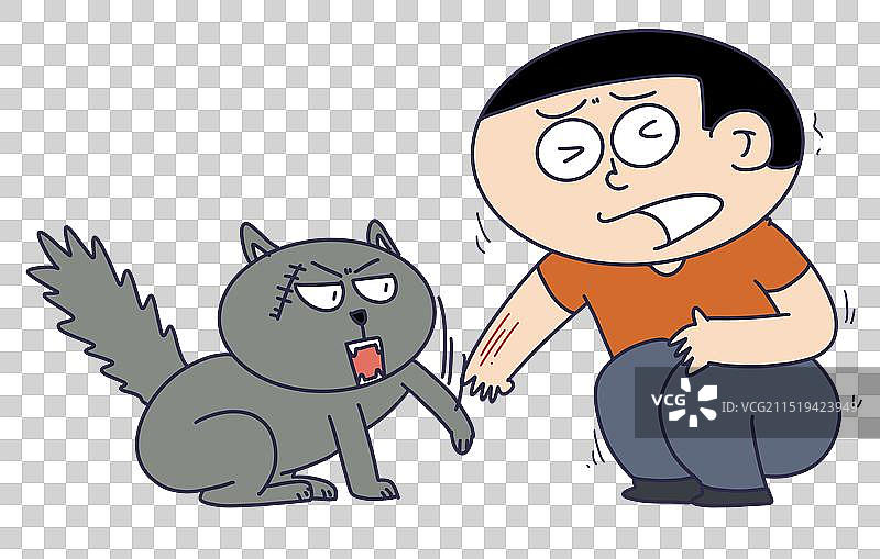 野猫抓伤人图片素材