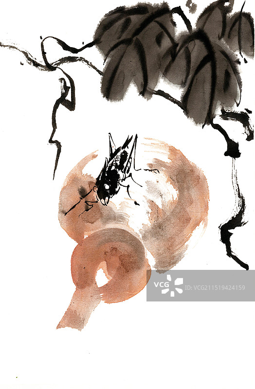 葫芦上的蛐蛐图片素材