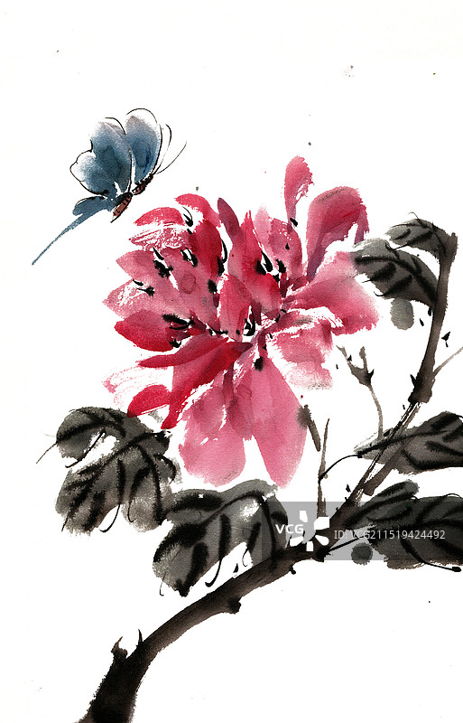 牡丹花与蝴蝶图片素材