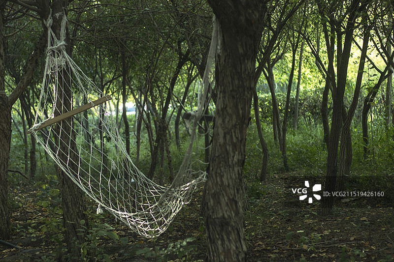 林中吊椅图片素材