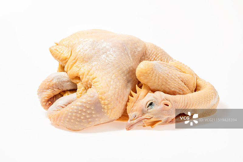 生鲜上海三黄鸡浦东鸡九斤黄鸡肉图片素材