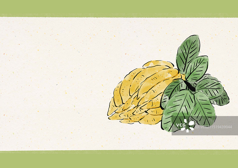 国潮风中医药插画-佛手图片素材