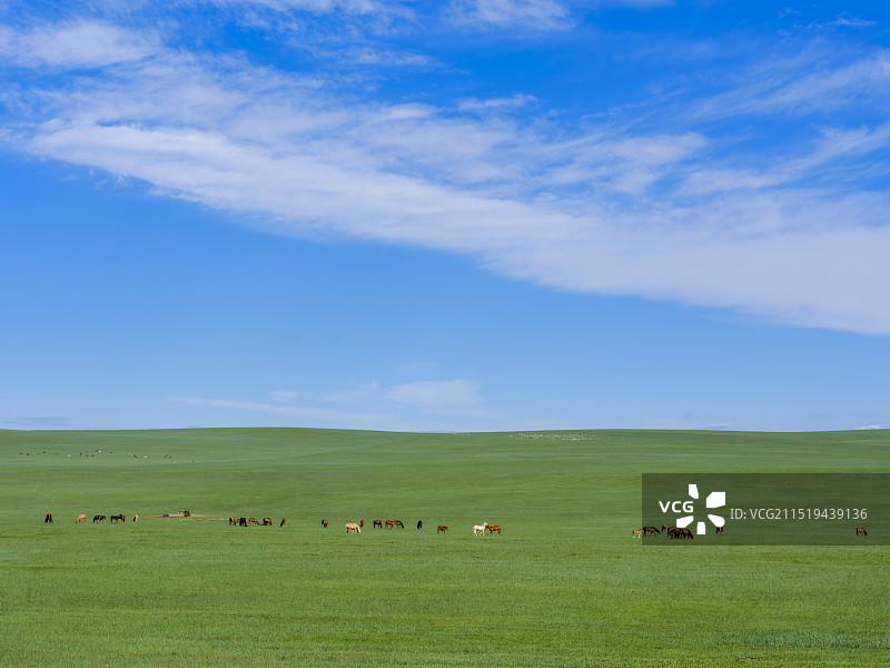 内蒙古锡林郭勒大草原乌兰五台风光图片素材