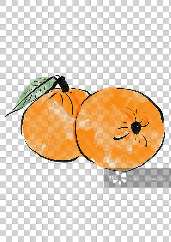 国潮风中医插画元素-陈皮图片素材