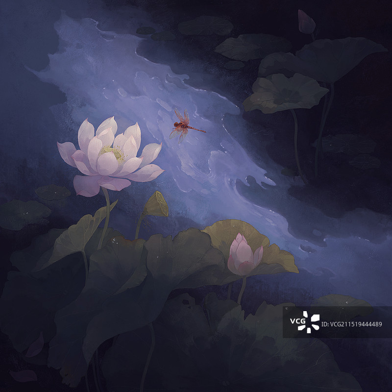 古风夜晚荷塘图片素材