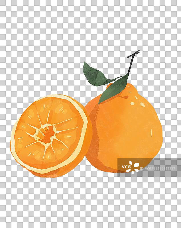 粑粑柑丑橘橙子橘子水彩插画图片素材