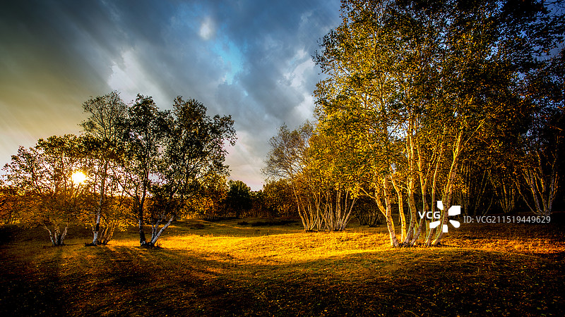 醉美秋色图片素材