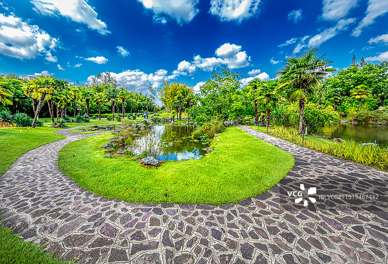 上海植物园的夏末秋初图片素材