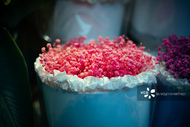 染色 花 配花图片素材