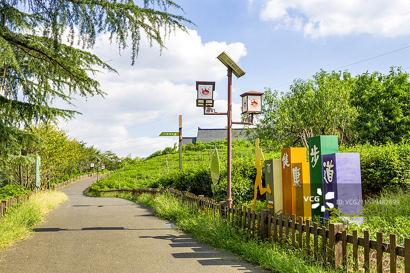 南京市江宁区黄龙岘茶园文化村健康步道图片素材