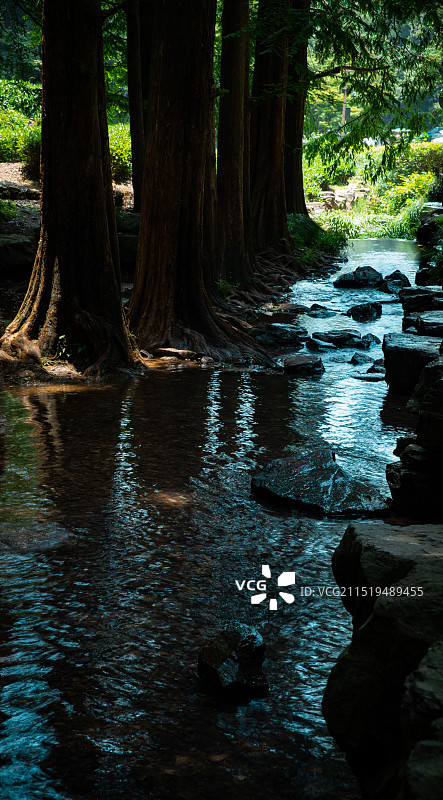 九溪的小溪图片素材