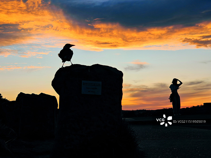 乌鸦与美女图片素材