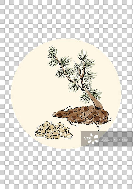 国潮风中医草药插画元素-茯苓图片素材